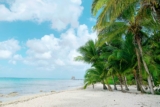 Top Private Villas in Cozumel for Families and Group Getaways