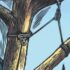 Size, Reef Safety, Diseases and Mates