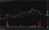 LINK Leads While Broader Market Momentum Remains Weak – Rehana William |Financial Consultant _Forex_Gold Xauusd| Fund Manager