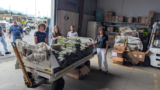 Air Canada, Air Canada Foundation and Air Canada Cargo Support Wildfire Relief Efforts Across Northern Ontario
