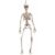 Halloween Decorations My Other Me 120 cm Skeleton