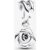 Pandora Rose in Bloom Dangle Charm
