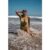 Sage Green Textured Halter Bikini Top with Ring Detail