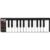 Akai Professional LPK25 Laptop Performance Keyboard Grade Good Used
