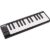 Akai Professional LPK25 Laptop Performance Keyboard Grade Excellent Used
