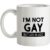 I’m Not Gay But… mug.