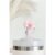 Coconut Lane Pink Bow Straw Cover