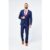 Edison Navy Wine Check Three Piece Suit