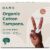 Organic Tampons Value Pack | Absorbency: Super (56)