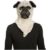 Mask My Other Me Bulldog M