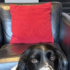 Behind-the-scenes with WildBrain Studios on the Snoopy Presents specials for Apple TV
