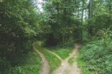 5 Decisions You Have to Make Before You Incorporate in Canada