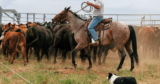 Colorado ranchers speak out in major Supreme Court climate case