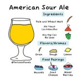Everything You Need To Know About American Sour Ale