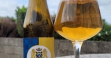 The Beer Nut: Belgium, why not?