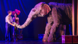 ‘Water for Elephants’ Review: Broadway Circus Magic Comes to the Civic Theatre