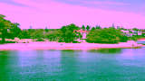 A Half-Day Harbour Escape from Sydney