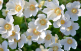 Blessed With Full Assurance – Christ Talk