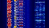 WiFi Router Does Software-Defined Radio