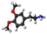 Dopamine burnout – a biological stress response, not a personal failure.
