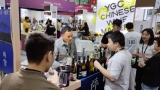 Jia You! Fun Guide to Wine to Asia 2026 – Grape Wall of China