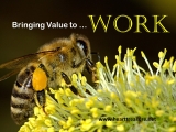 Bringing Value to Work – Heart Treasure