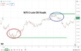 September 2026 – Rehana William |Financial Consultant _Forex_Gold Xauusd| Fund Manager