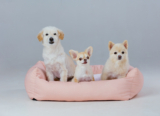 Top 5 Dog Beds for Ultimate Comfort in 2025